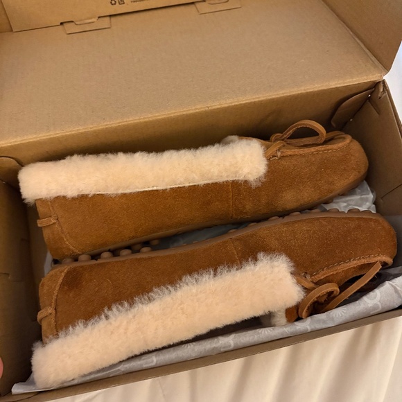 Ugg slippers - Picture 1 of 5